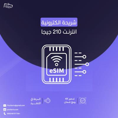 شريحة الكترونية